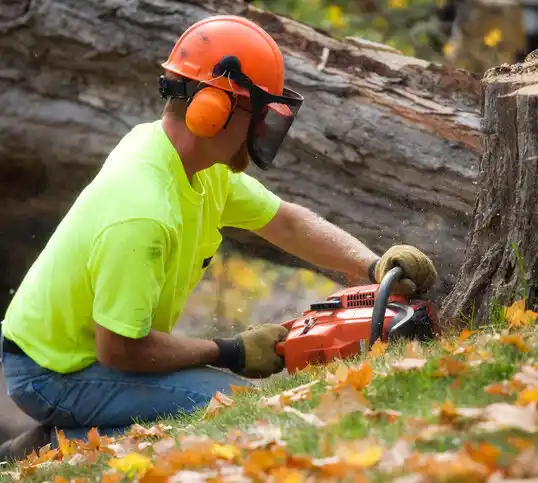 tree services Coleridge